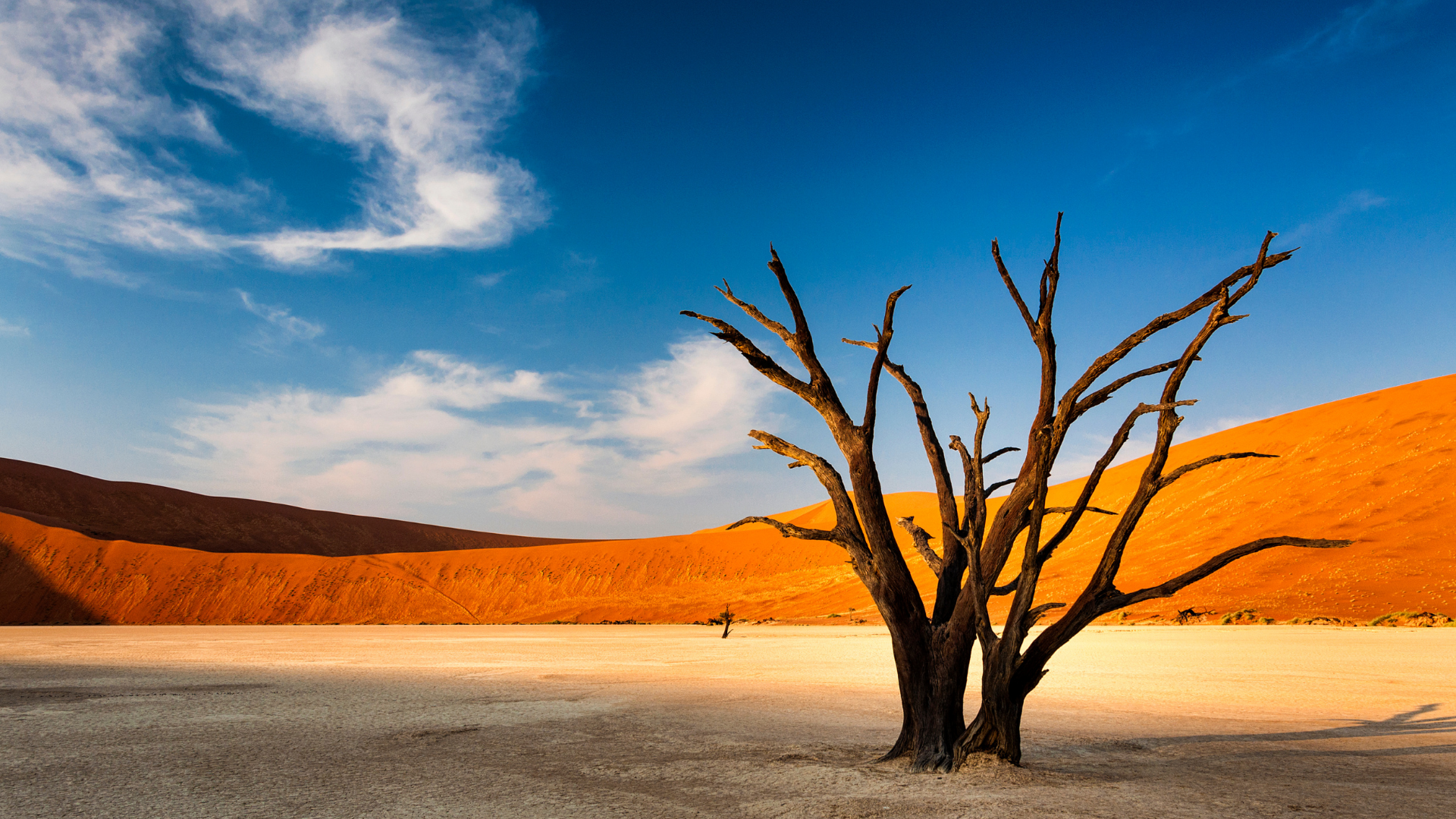 Namibia 4x4