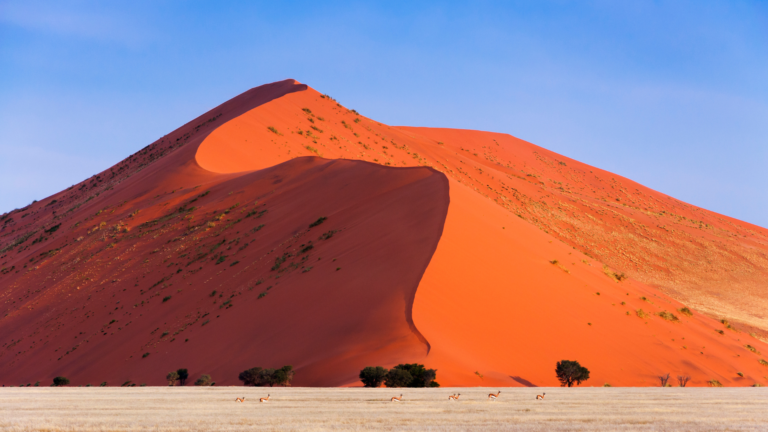 Wyprawa 4x4 Namibia