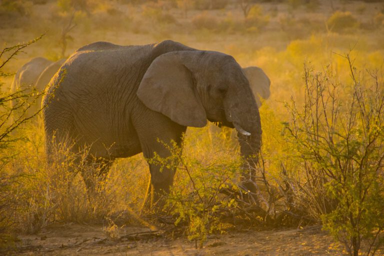 Namibia wycieczka