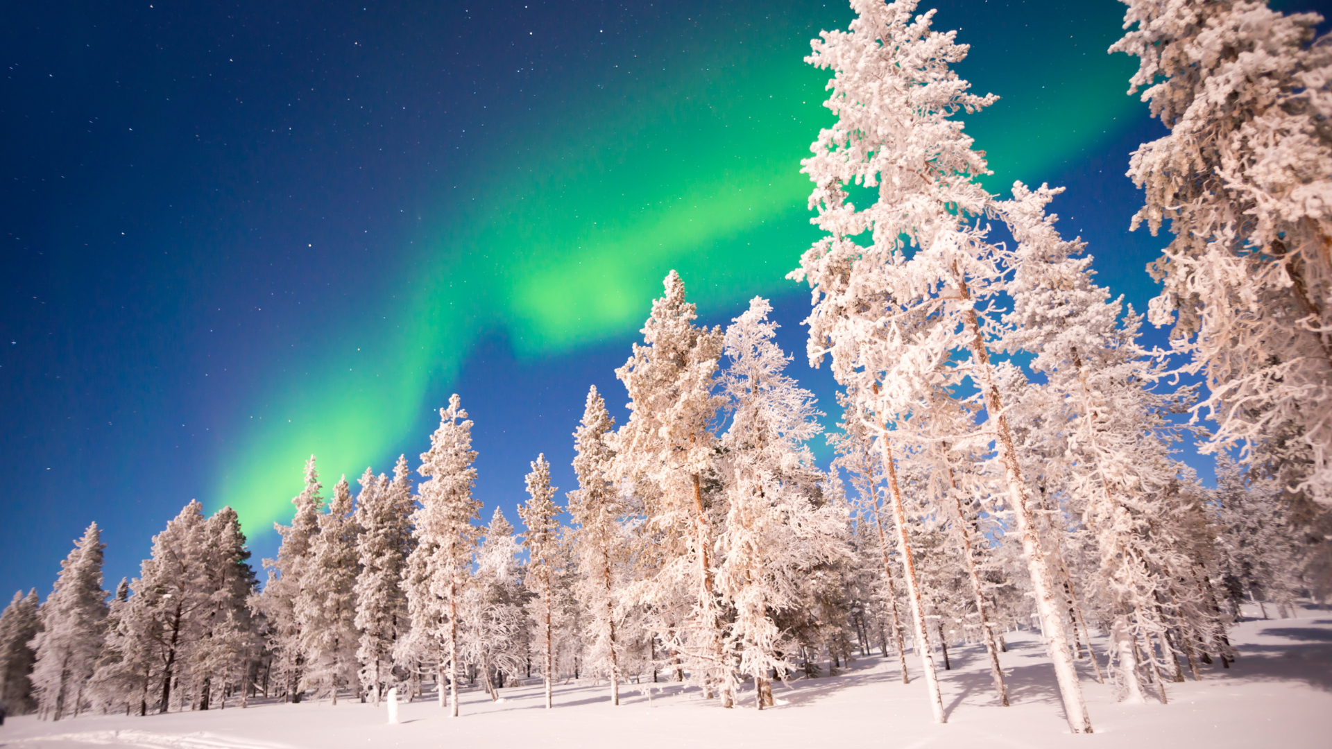 finlandia wycieczka zima