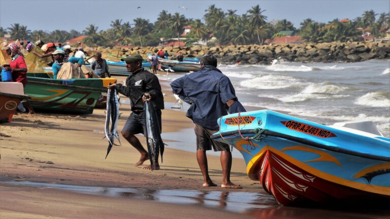 sri lanka wakacje