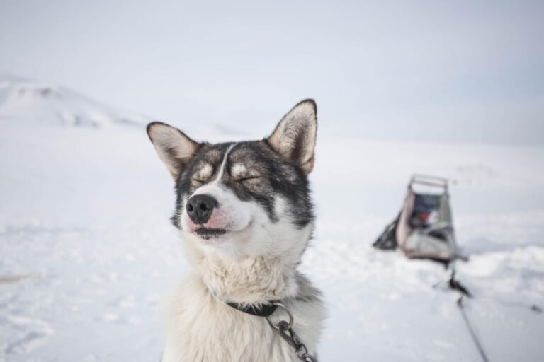 spitsbergen wyprawa