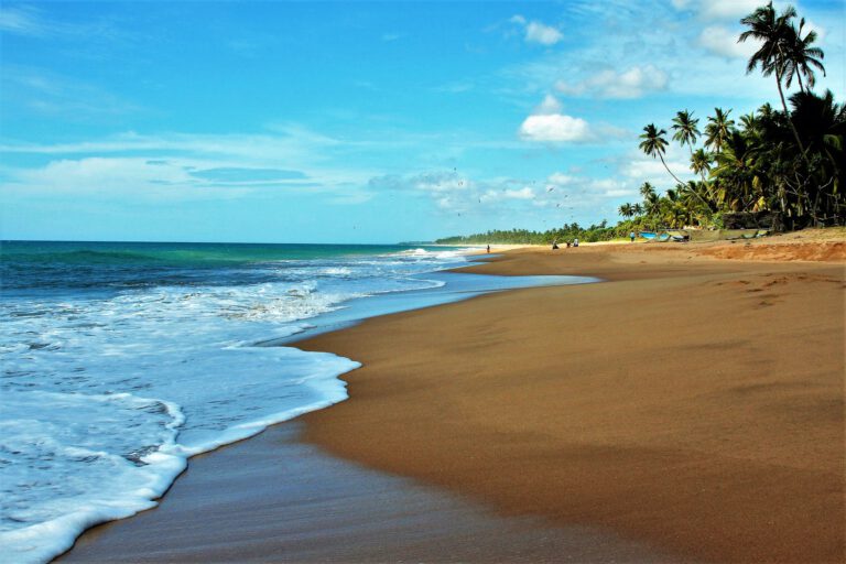 sri lanka sylwester