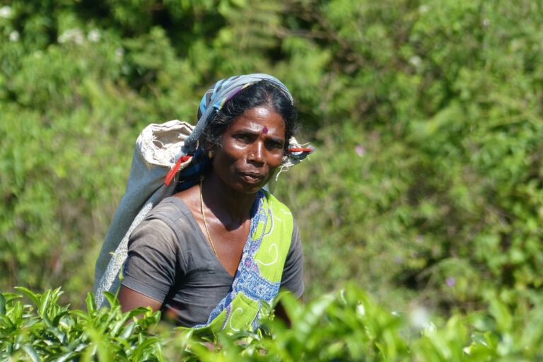 sri lanka wycieczka