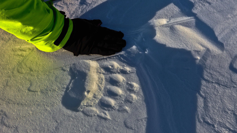 Wyjazd na Spitsbergen