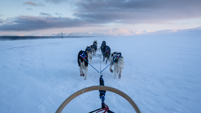 Wyprawa na Spitsbergen