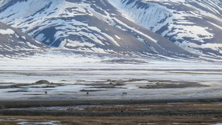 Wyjazd na Spitsbergen