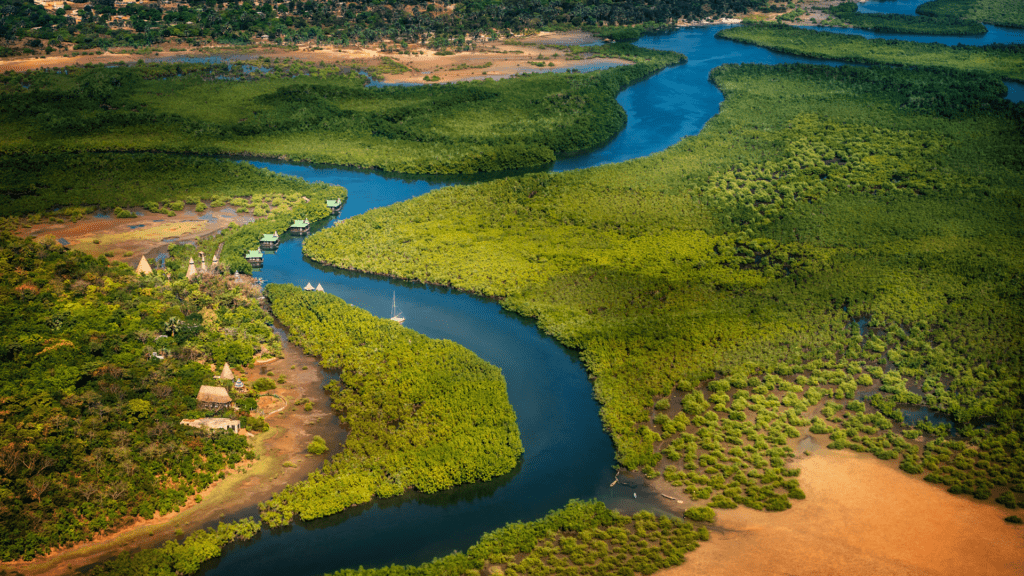 Wyjazdy Gambia