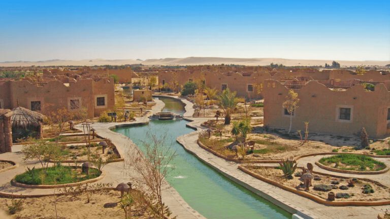 Wyjazd oaza Siwa