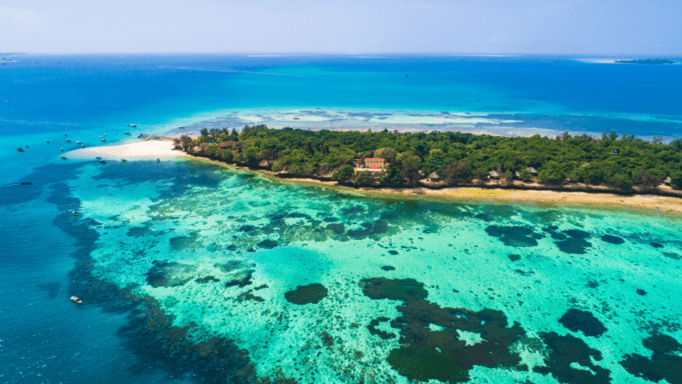 Wyprawa na Zanzibar