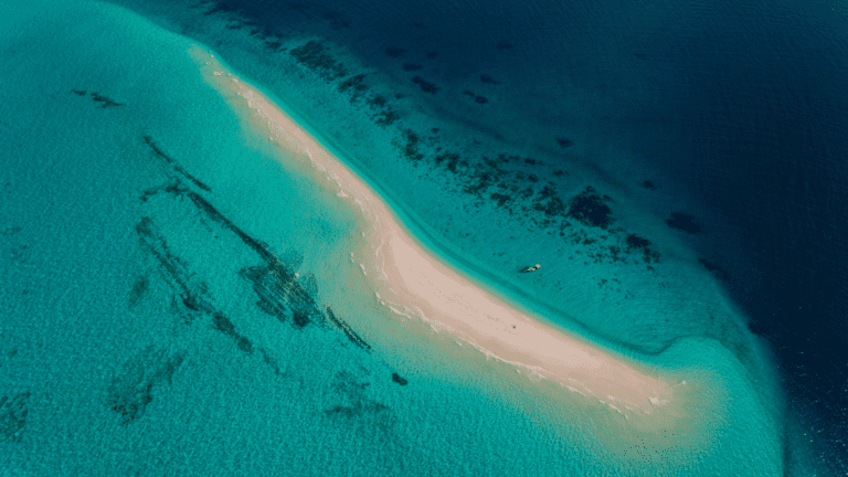 Wyprawa na Zanzibar