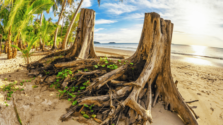 Wycieczka na Mauritius