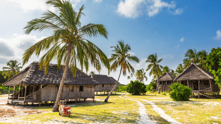 Zanzibar wyjazd z biurem