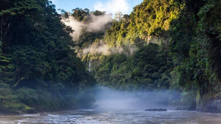 Wyjazd do Amazonii