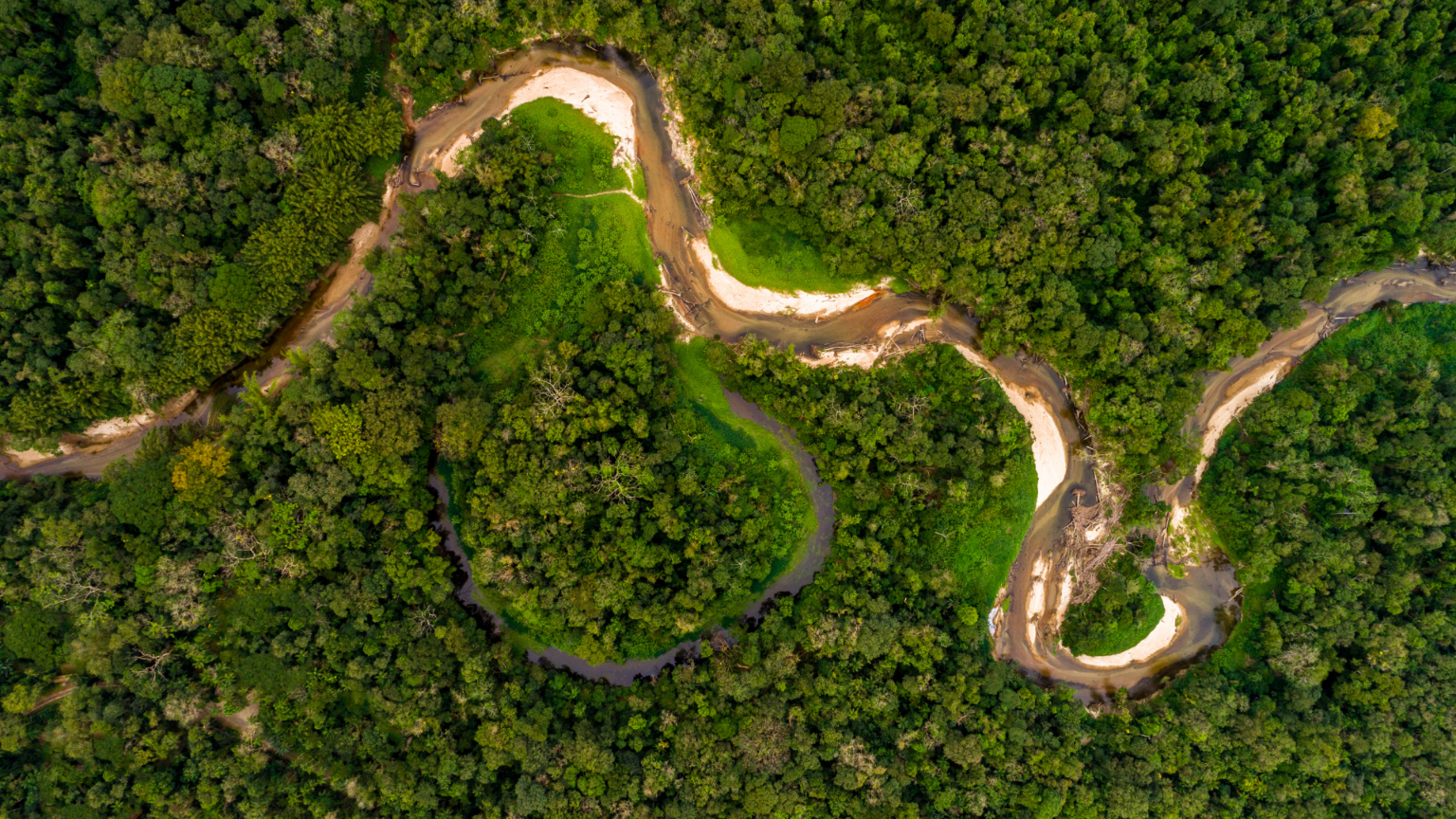 Zorganizowana wyprawa do Amazonii