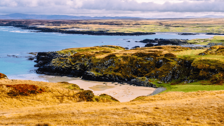 Islay whisky wyjazdy