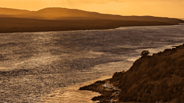 Islay whisky wyjazdy