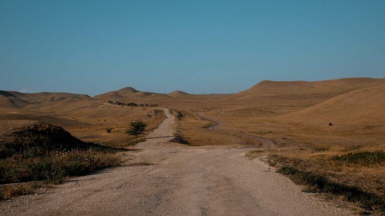 Wycieczka do Parku Waszlowani