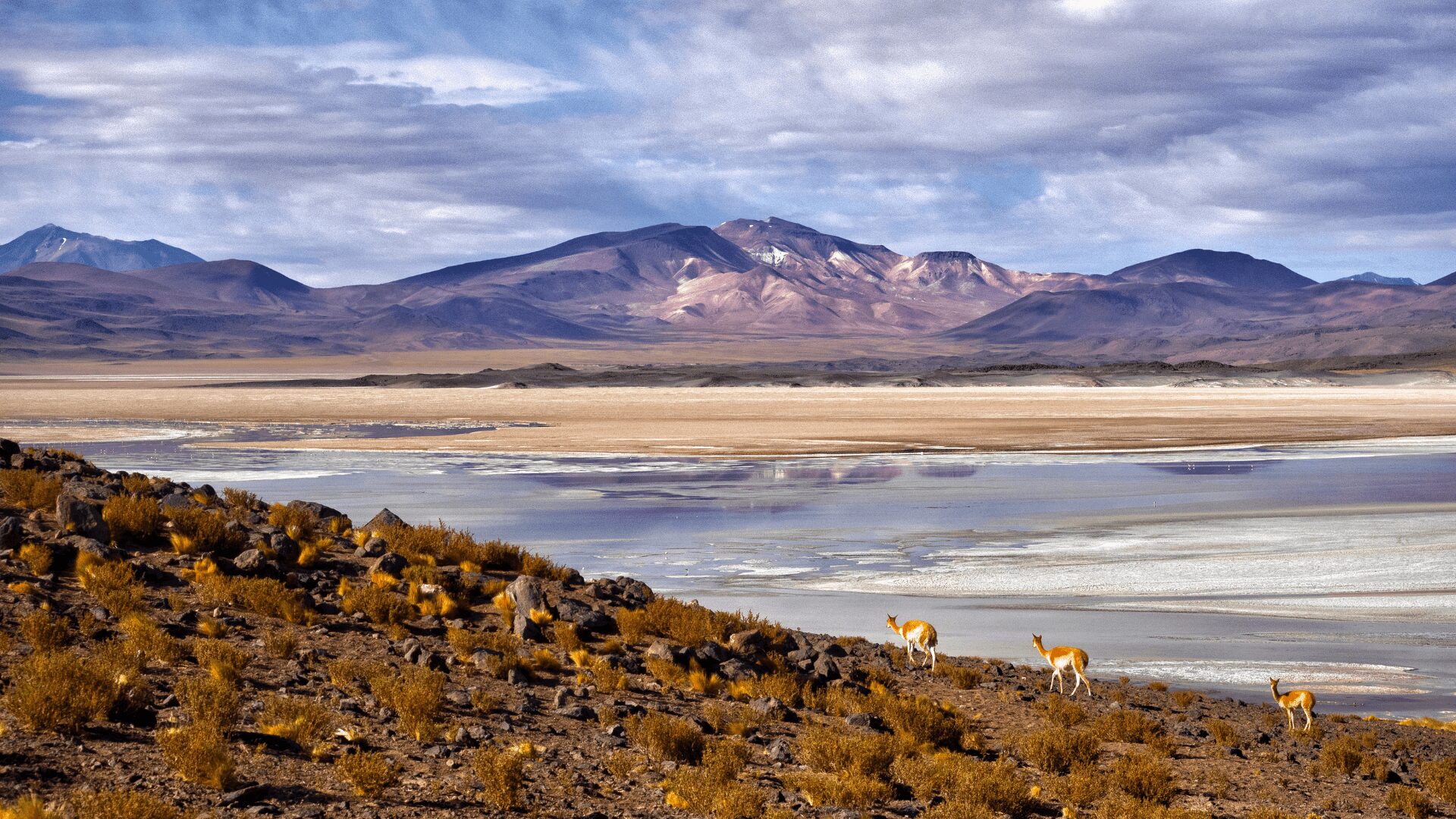 Wyjazd do Chile szyty na miarę
