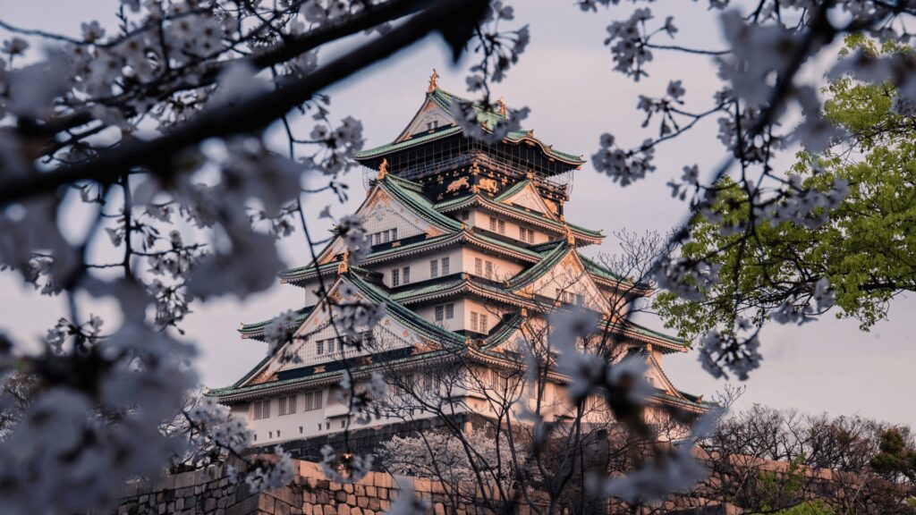 Dopasowany wyjazd do Japonii