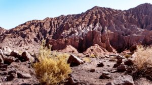Wyjazd do Chile szyty na miarę