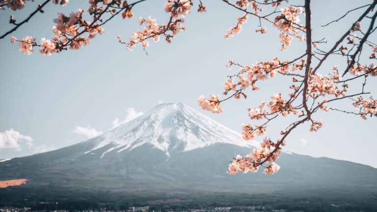 Dopasowany wyjazd do Japonii