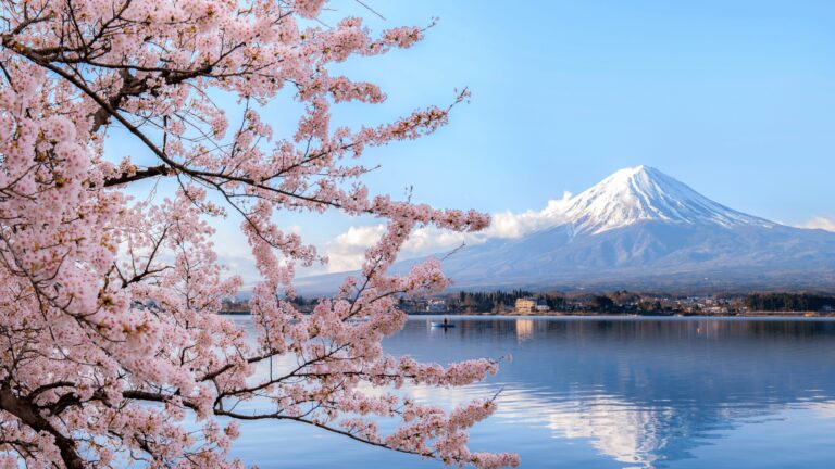 Dopasowany wyjazd do Japonii