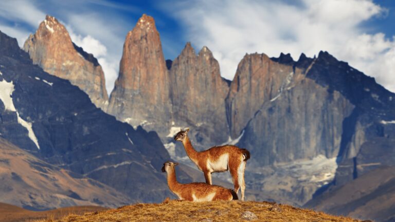 Indywidualny wyjazd do Patagonii
