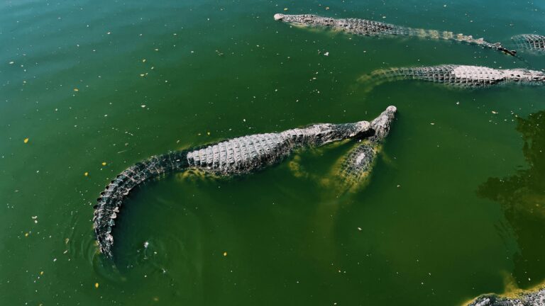Wyjazd do Miami szyty na miarę