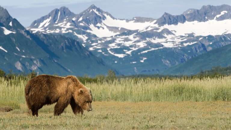 Alaska wyjazd indywidualny