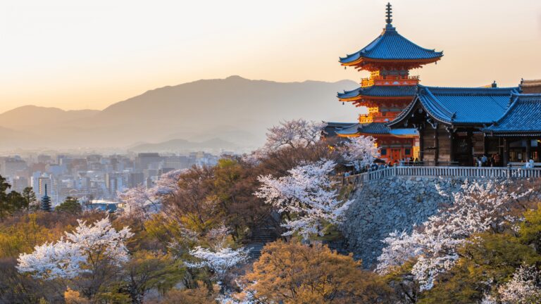 Wyjazd do Japonii szyty na miarę