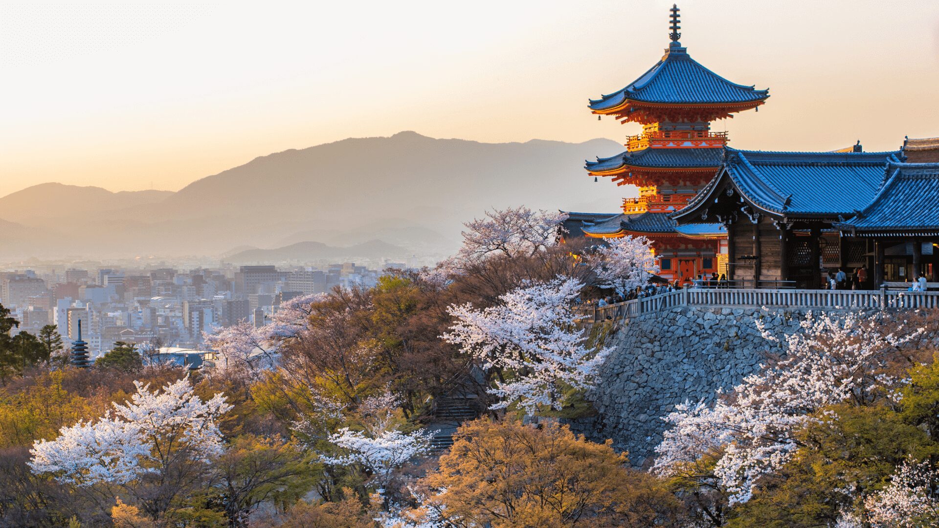 Wyjazd do Japonii szyty na miarę