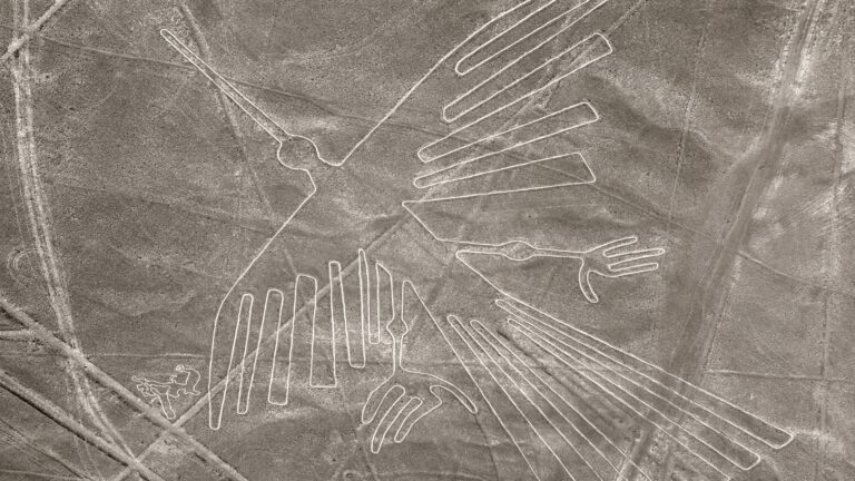 Linie Nazca wyjazd z przewodnikiem