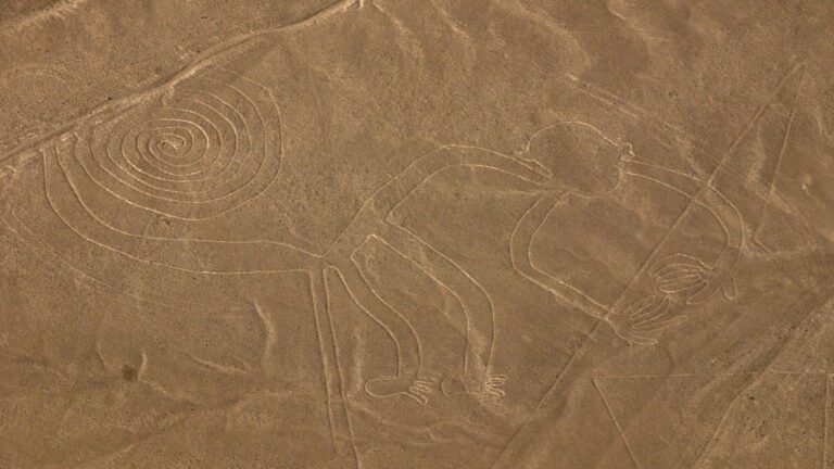 Linie Nazca lot