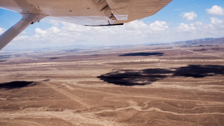 Linie Nazca lot