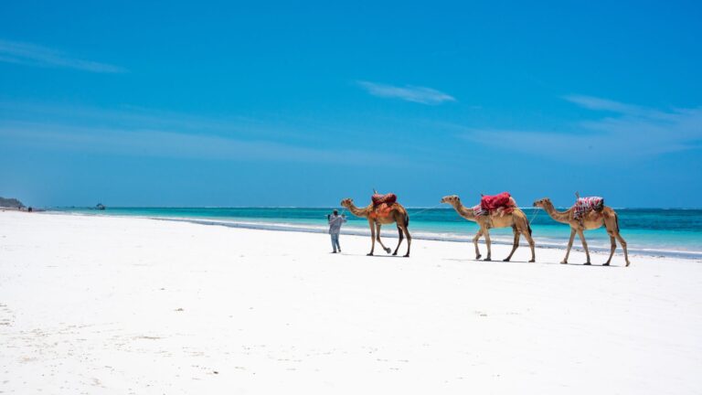 Diani Beach
