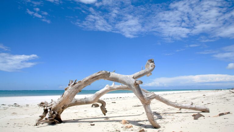 Diani Beach