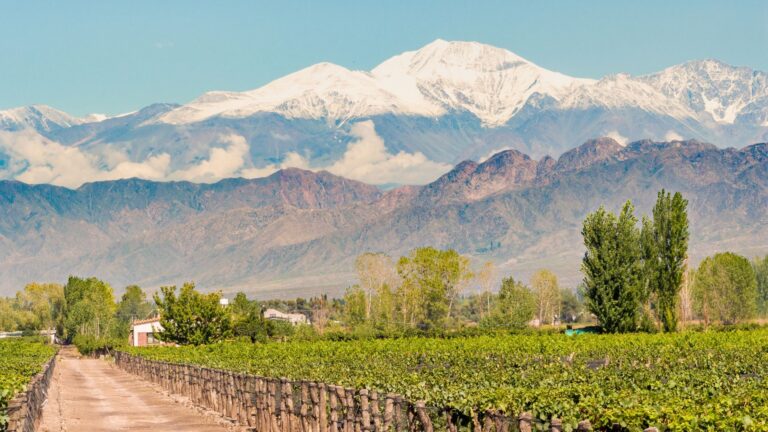 Mendoza