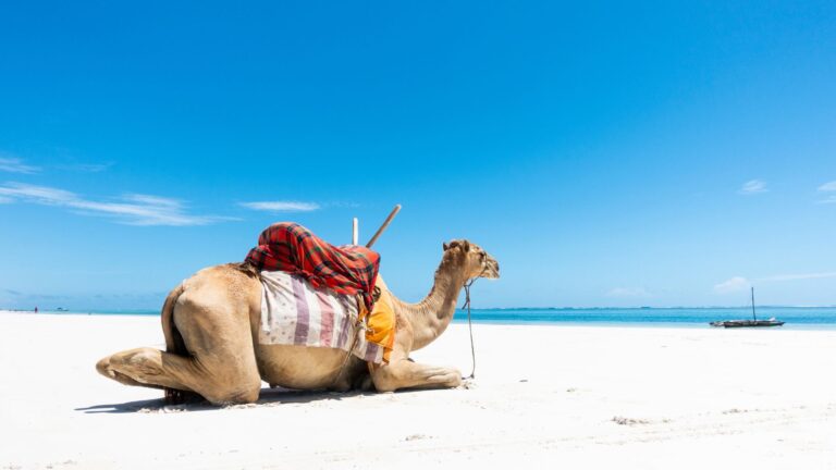 Diani Beach