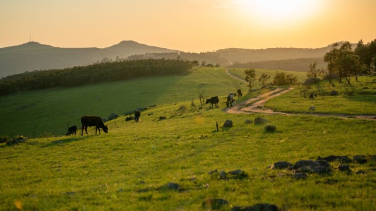 Eswatini