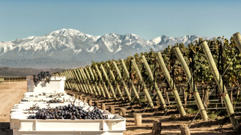 Mendoza