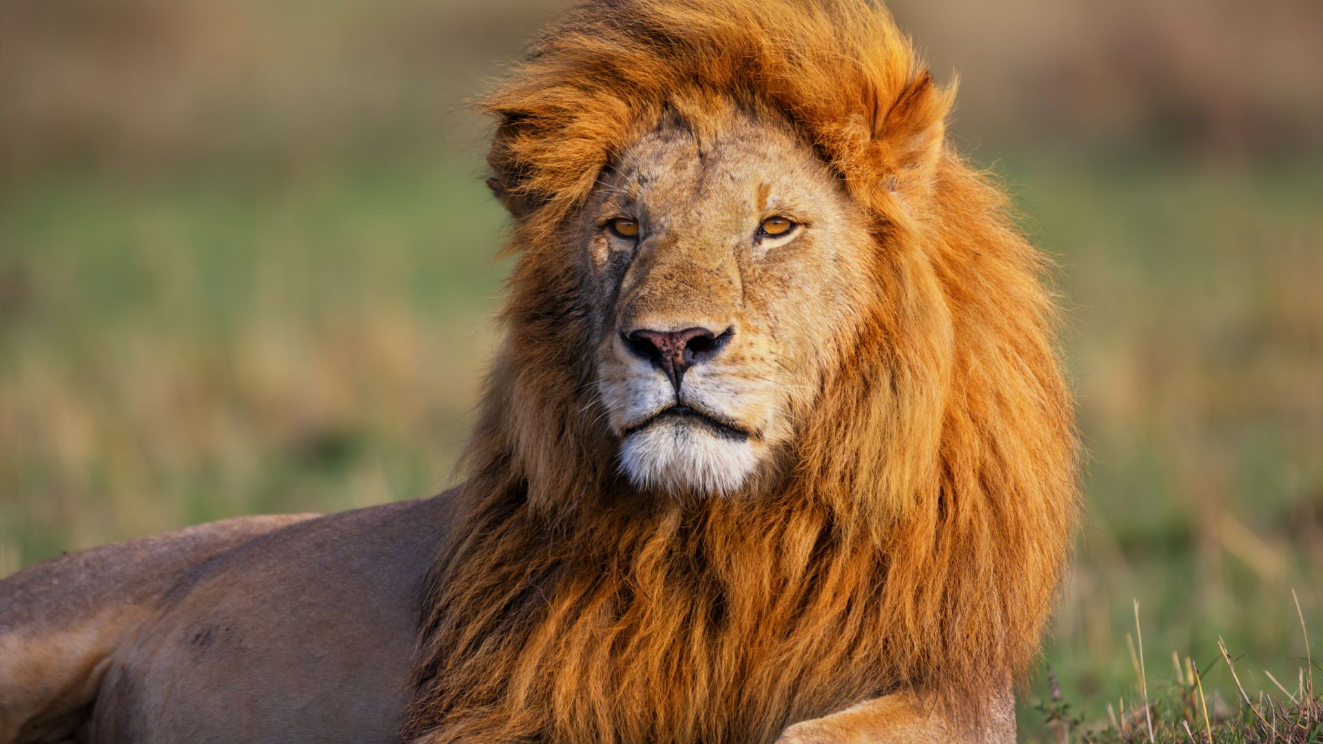 Kenya