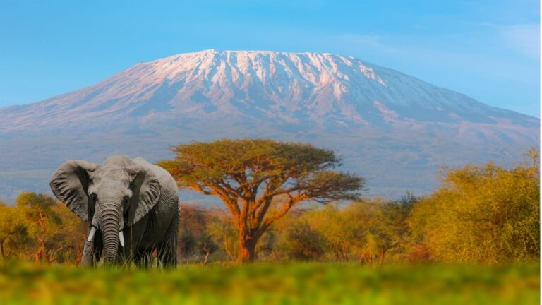Ngorongoro