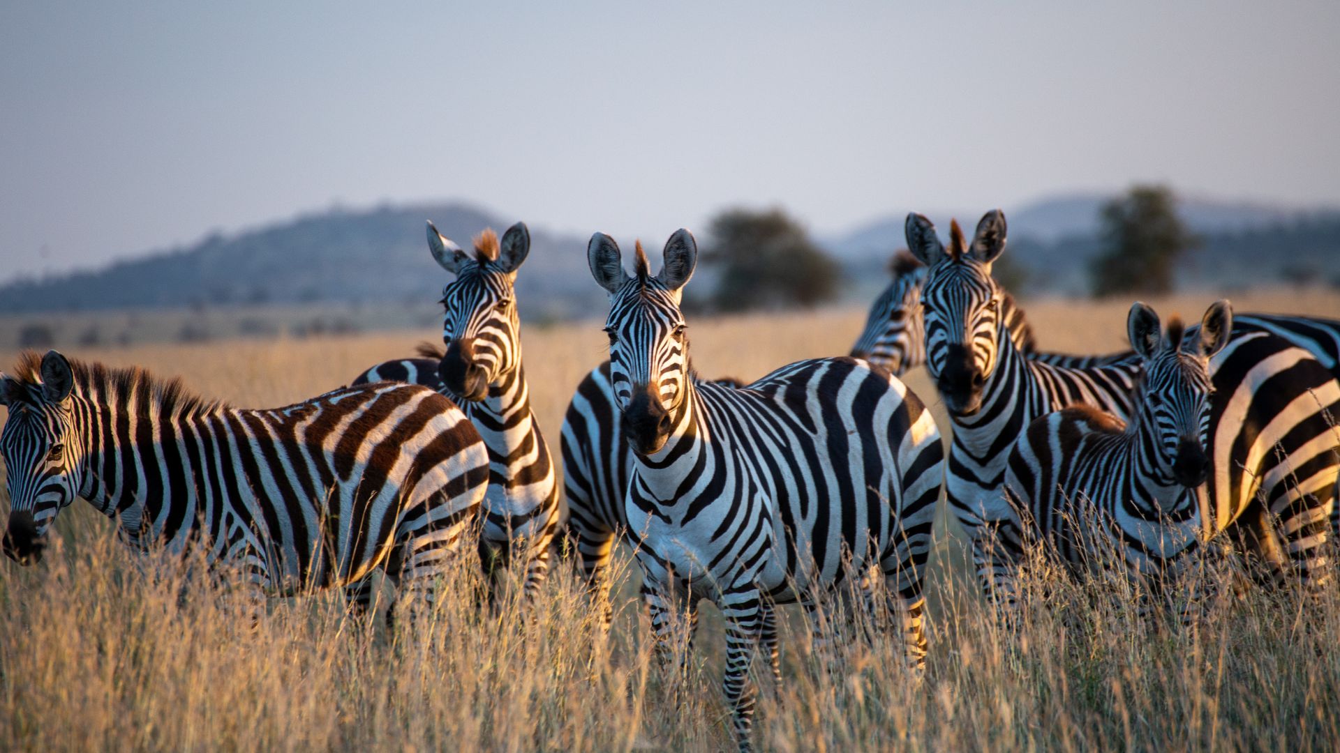 Tanzania
