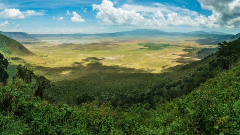 Ngorongoro