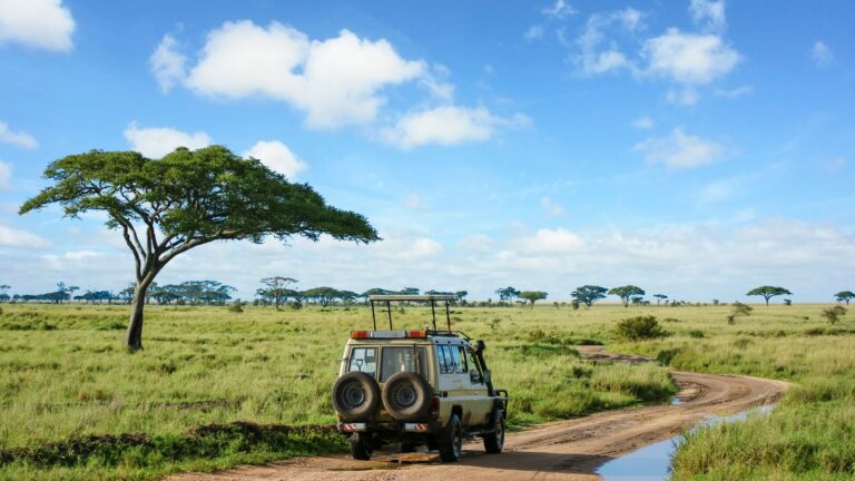 Serengeti