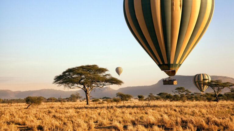 Serengeti
