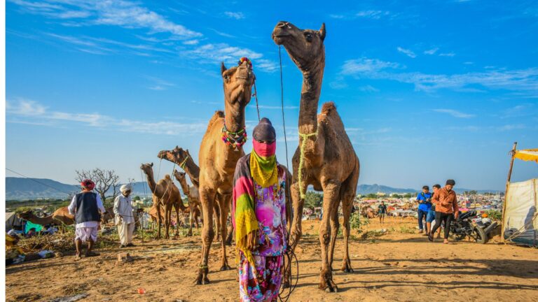 Pushkar