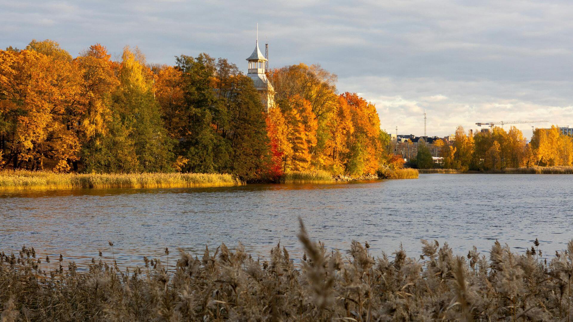 kiedy warto pojechać do Finlandii?