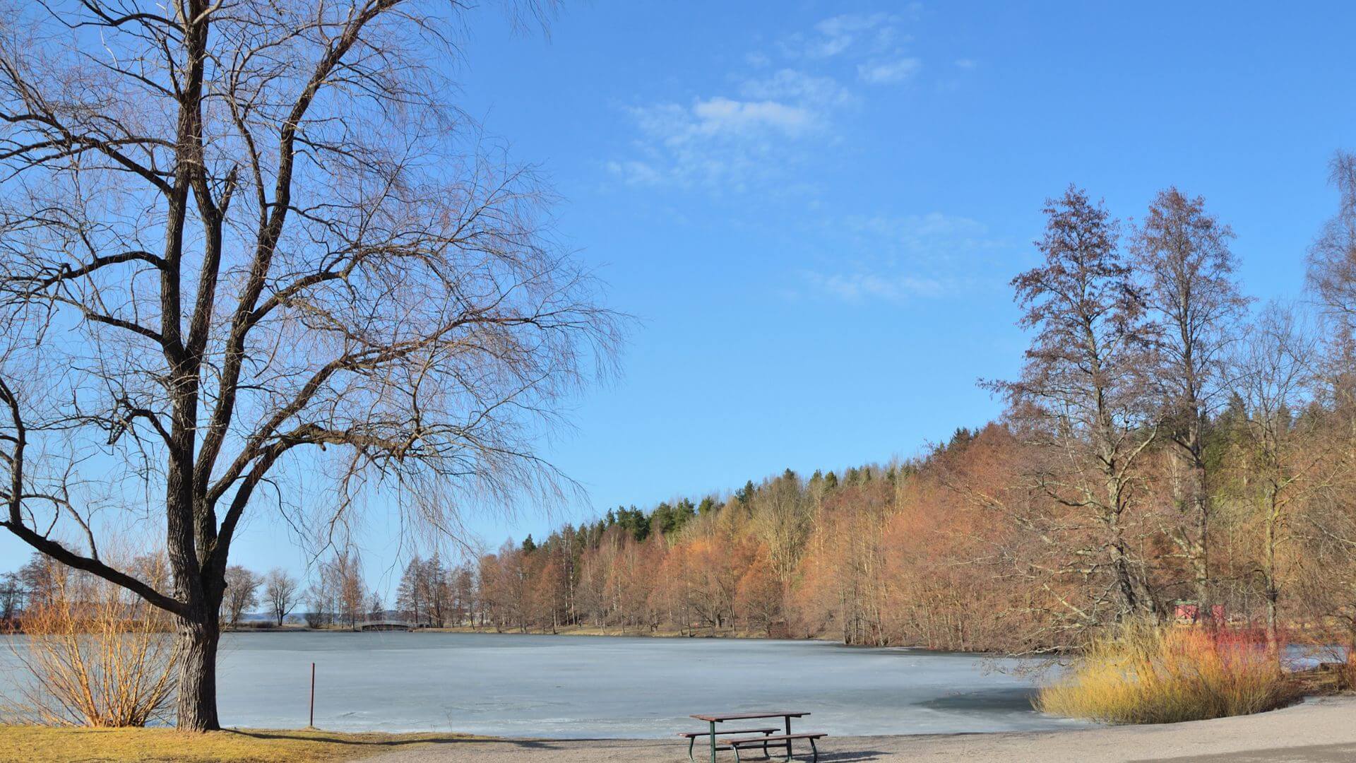 kiedy warto pojechać do Finlandii?